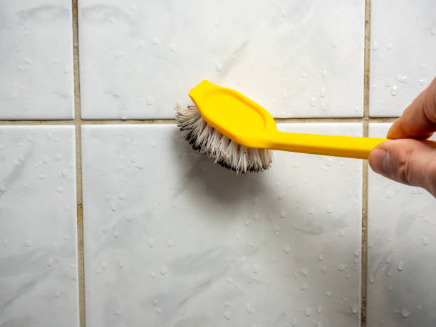 Best Mold Removal Company Near Me  in Covgton, IN