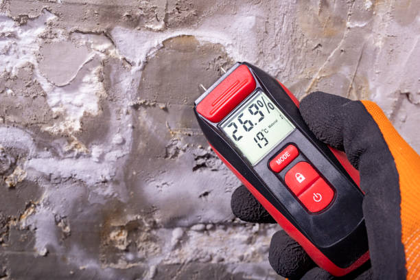 Best Best Mold Removal Companies  in Covgton, IN