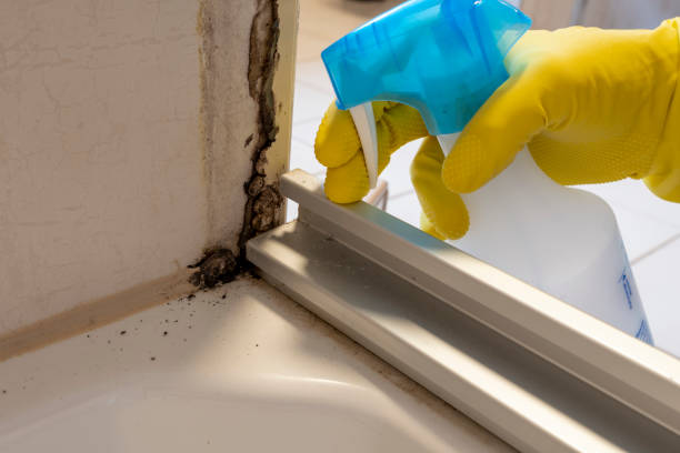 Best Fast Mold Removal  in Covgton, IN