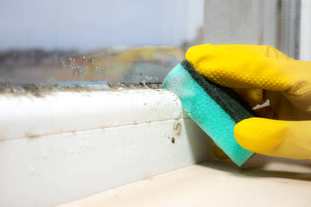 Best Mold Testing  in Covgton, IN