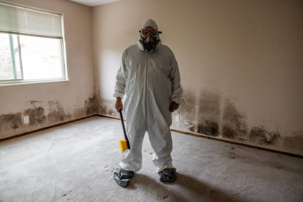 Mold Removal and Inspection in Covington, IN